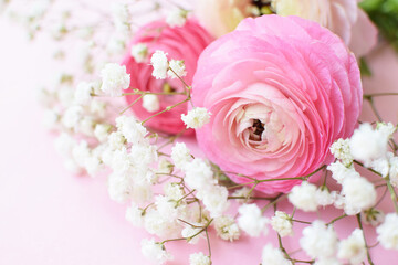 A beautiful bouquet of pink ranunculus (buttercups) with delicate white gypsophila flowers on a pink background.