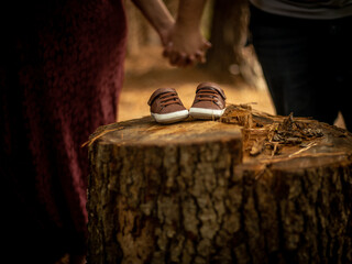 Baby Shoes on Stump for Maternity Shoot