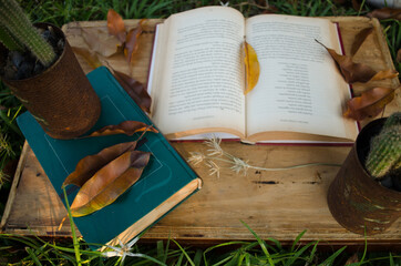 old book on a tree