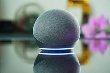 Smart speaker and a virtual assistant. It is used to keep the home connected and give orders by...