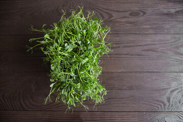 Pea microgreens on wooden table. Micro greens pea sprouts with fresh leaves