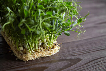 Obraz premium Pea microgreens on wooden table. Micro greens pea sprouts with fresh leaves