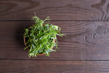 Fototapeta na wymiar Pea microgreens on wooden table, top view. Bowl with cutted micro greens pea sprouts with fresh leaves