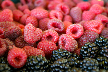 Fresh blackberries and raspberries. Blackberries versus raspberries. Blackberries in front and raspberries in background. Blackberries close up, macro. Sweet fresh ripe berries mix.