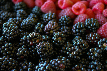 Blackberries up close, raspberries in the background blurred. Blackberries and raspberries....