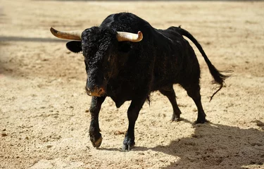 Fotobehang Stierenvechten spanish bull in a traditional spectacle of bullfight  © alberto