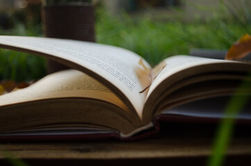 reading a book