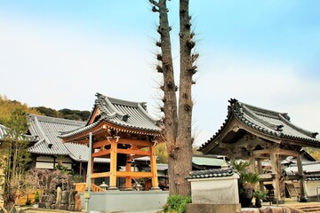 Fototapeta premium 古賀市の谿雲寺