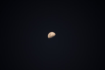 MOON