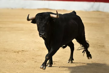 Wandcirkels aluminium spanish bull in a traditional spectacle of bullfight © alberto