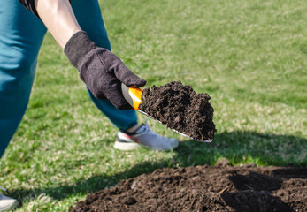 Fototapeta premium Man in black glove holding shovel with brown moisture and fertilize soil over cultivation ground and turf, depth of field. Person cultivate outdoor area for growing agriculture in spring and summer.