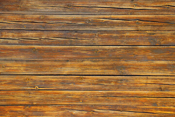 wood tree timber background texture structure backdrop