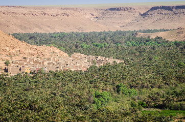 Green palm valley by river Ziz in Morocco in April 2015