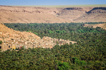 Green palm valley by river Ziz in Morocco in April 2015