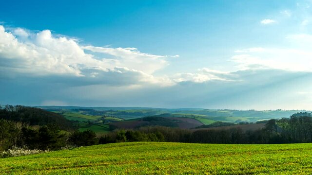 Fields and Meadows over English Village, Devon, England, Europe
