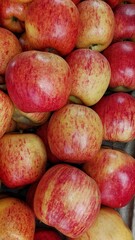 red apples on a market