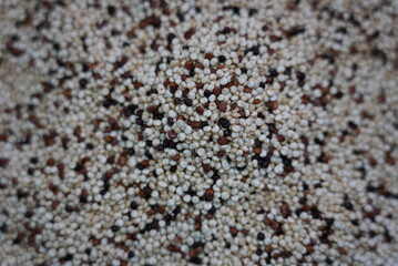 Close up of a pile of white, black and brown quinoa