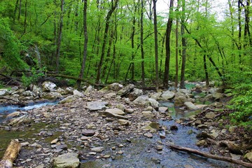 Beautiful mountain stream in the Ozarks.