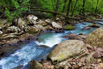 Beautiful mountain stream in the Ozarks.