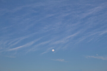 moon in the afternoon in the blue sky 2