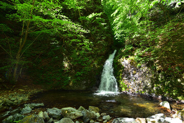 Beautiful waterfall in a green forest