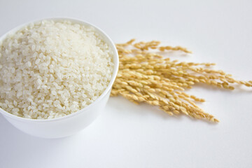rice grains in a bowl and Ears of rice isolated on white background.