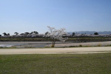 武庫川