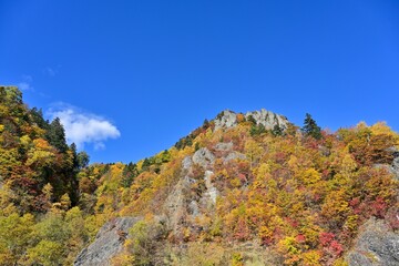 ちょうど見頃の豊平峡の紅葉情景＠北海道