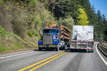 Two different big rigs semi trucks with loaded semi trailers move in opposite directions on a narrow winding road in the forest