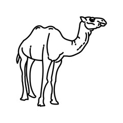 Camel Icon. Doodle Hand Drawn or Outline Icon Style