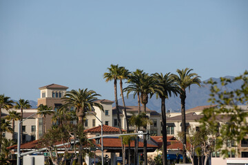 Daytime palm-framed view of the downtown skyline of Laguna Niguel, California, USA.