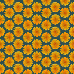 Marigold, calendula. Illustration, texture of flowers. Seamless pattern for continuous replication. Floral background, photo collage for textile, cotton fabric. For use in wallpaper, covers