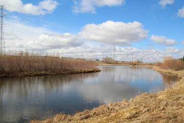 Calm Waters, Pylypow Wetlands, Edmonton, Alberta