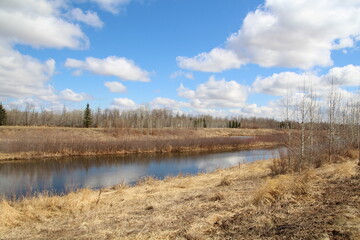 Blue Above The Land, Pylypow Wetlands, Edmonton, Alberta