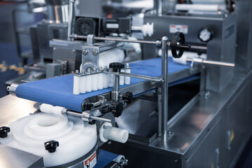 Automatic dough encrusting and moulding machine for steamed bun. Food industry