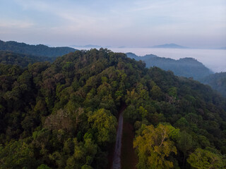 Obraz premium Aerial Shot Landscape Forest with Fog bank .Sea of mist with mountain morning time. tropical rain forest National Park jungle Southeast Asia. Thailand. end of road