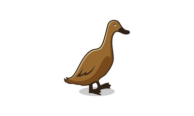Beautiful duck illustration vector
