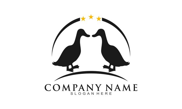 Duck elegant vector logo