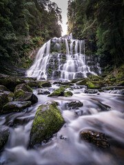 Tasmanian waterfall in the forest