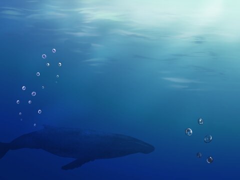 鯨のいる海の中のイラスト