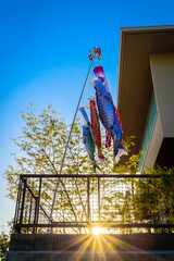 鯉のぼりを庭先にかざって、子の成長を願う、4月19日、日本