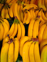 Fondo de platanos