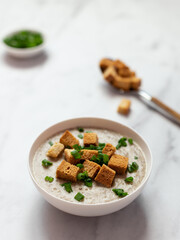 Mushroom soup-puree with onion, cheese and crackers