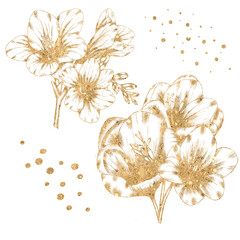 Gold lina freesia flowers, golden florals, design elements © Яна Сидельникова