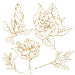 Gold lina gradenia flowers, golden botanica, wedding design elements © Яна Сидельникова
