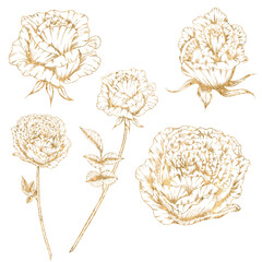 Gold lina rose flowers, golden botanica, gold florals, wedding design elements © Яна Сидельникова