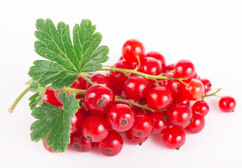 fresh ripe currant photographed closeup isolated on a white background.