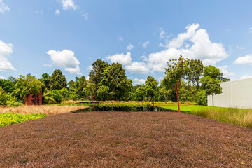 Concept Garden in Hamilton Gardens, New Zealand