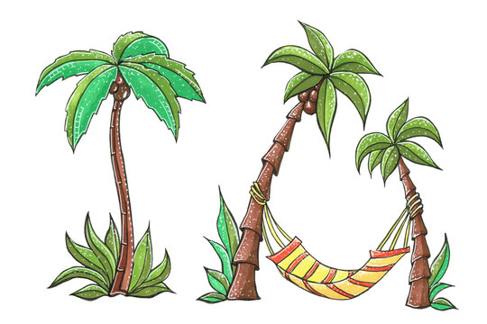 Palm trees with coconuts and a hammock.Summer set on white background. Hand drawing.