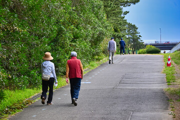 シニアがお散歩している遊歩道の風景